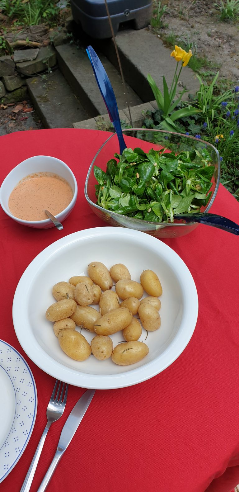 Papas Arrugadas mit roter Mojo